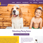 Major Cleaning web site design